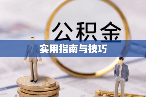 秀英实用指南与技巧