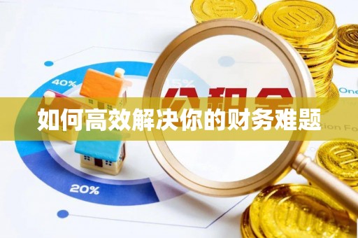 秀英如何高效解决你的财务难题