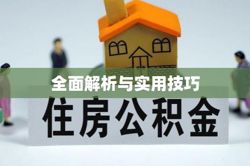 秀英全面解析与实用技巧