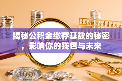秀英揭秘公积金缴存基数的秘密，影响你的钱包与未来
