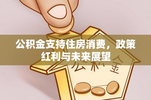 秀英公积金支持住房消费，政策红利与未来展望