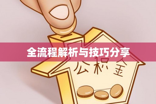 秀英全流程解析与技巧分享